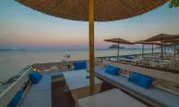 Porto Koukla Beach - Haustierfreundliche