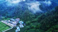 Meet 31 Jian Guesthouse - Mountain view
