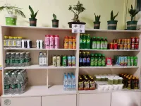 Lijiang Hotel (Xinyi Railway Station)