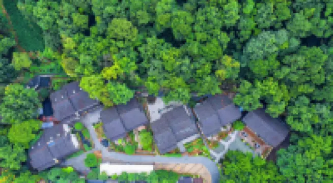 Manshexi Garden Garden Home stay (Hangzhou West Lake Jiuxi Shibajian Store)