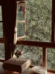 The Way of Mountains