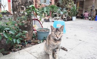 Yuan Zili Homestay