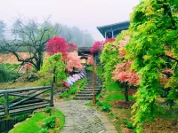 Wenxi Inn