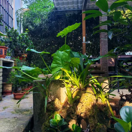 Courtyard NO. 7,Wanfenglin