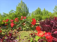 Wuwei Heavy Ion Wellness Homestay