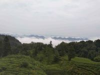 天台山山隐雅居 - 酒店景观