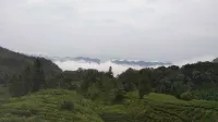Shanyin Yaju Villa - Inns