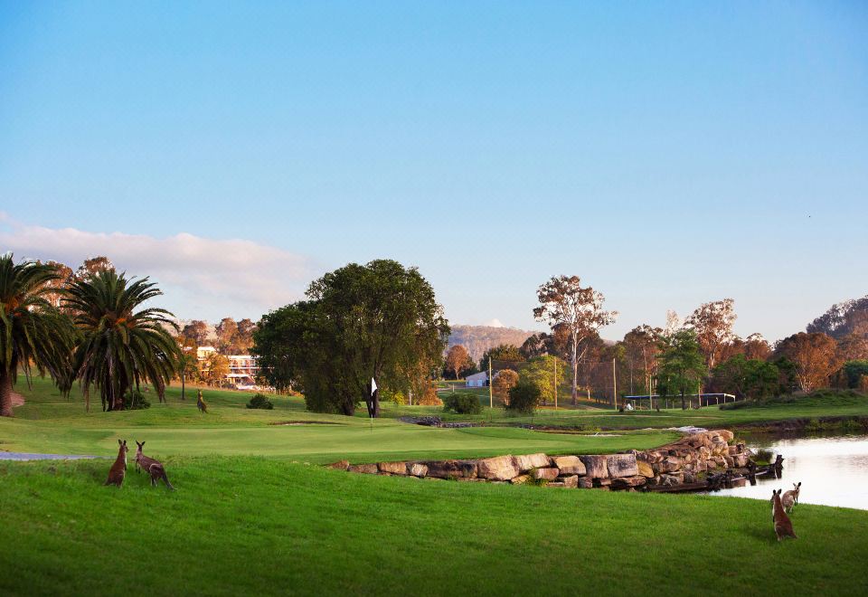 a lush green golf course with a large tree in the background , creating a picturesque scene at The Kooralbyn Valley