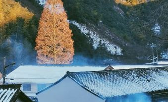 Yuyao Siming Mountain Wangyougu B&B