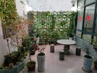 Jiuhuashan Haojiubujian Homestay