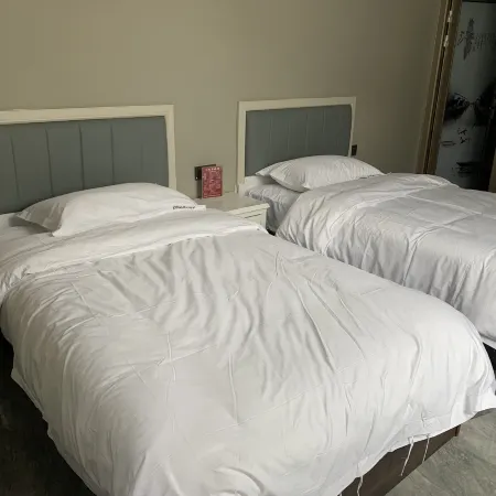 Longshan Liye Chengxin Homestay