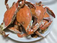 Zhujiajian Seaside Villa