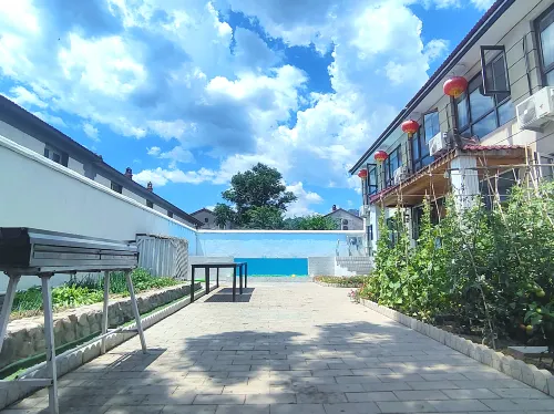 the Depths of the Alley