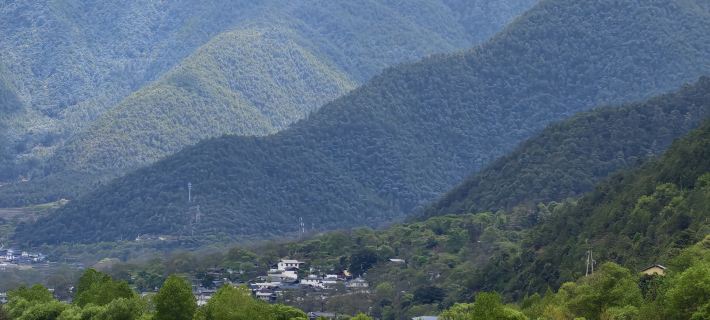 Weixi Chujinju Homestay Hotels in Weixi
