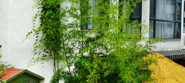 Pan'an Junlian Xiaoyin Homestay Hotele w: Powiat Pan'an