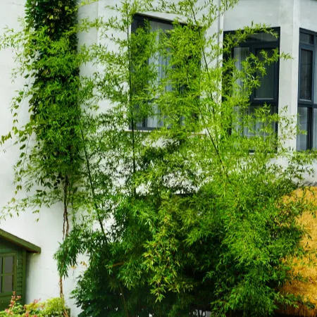 Pan'an Junlian Xiaoyin Homestay
