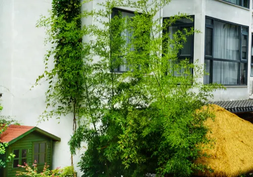 Pan'an Junlian Xiaoyin Homestay - albergo