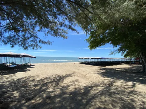 รูปภาพของเมจิก เฮ้าส์ โฮสเทล