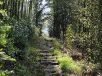 莫干山知山花园美宿 - 酒店附近