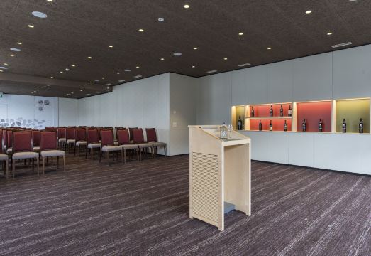 선스타 호텔 & 스파 그린델발트