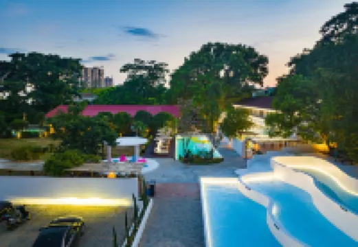 Leisurely Dwelling: Hidden Realm of Trees