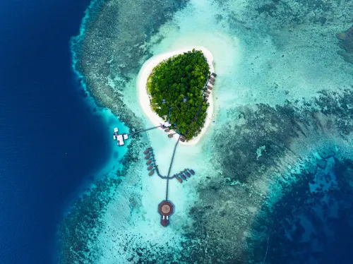 Lankayan Island Dive Resort - bar