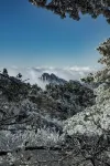 Changfeng Hostel (Huangshan Scenic Area South Gate) - homestay