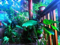 Yuntihui Holiday Hotel - breakfast