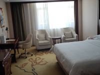 维也纳酒店(青海省格尔木市黄河中路店) - 豪华助眠大床房