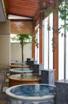Gokurakuyu (Jin Yin Tan) Spa Hotel (Wuhan Polar Ocean World) - Kuumat lähteet