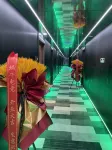 Snail    Esports  Hotel