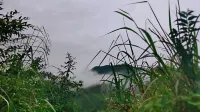 雲和梯田拾玖號民宿 - 山景