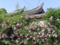 Suiyuan Hostel