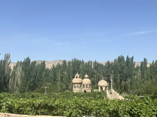 Turpan Momingpinju Homestay (Grape Valley Scenic Area Qingwa Lane)