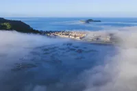 Shanhaiju - 비치