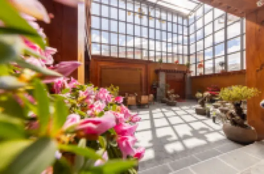 The Snow Realm · Petit Tusi Tibetan Boutique Lodge (Dukezong Ancient Town, Shangri-La) Hotels in Shangri-La