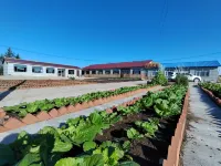 Yingyou Zhijia Homestay (Da Platform Wusong Scenic Area) - واي فاي
