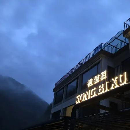 Zhashui Songbixu Homestay