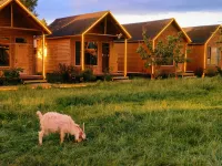 Xiata Mushe Homestay - servizio colazione