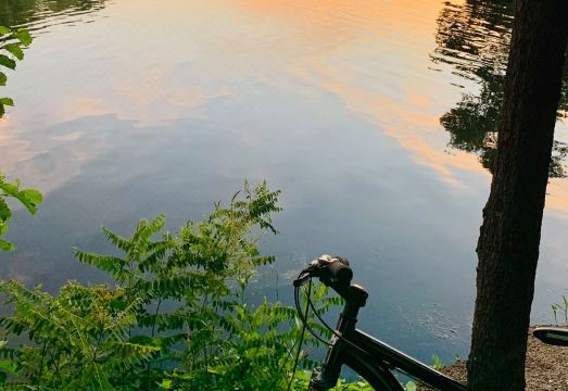 호텔 조식 공간