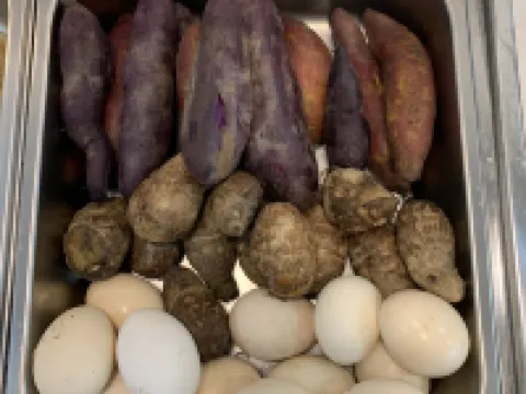 GreenTree Hotel(QinZhou Garden) Hotels in Qinzhou