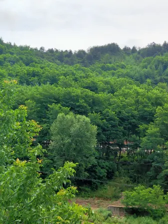 Hongshun Farmhouse Отели рядом с достопримечательностью «Immortal Cliff»