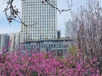 Dahe Jinyue Hotel Hotels near ZZICEC