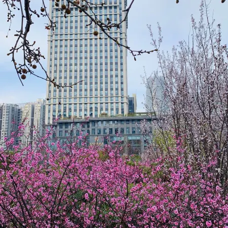 Dahe Jinyue Hotel