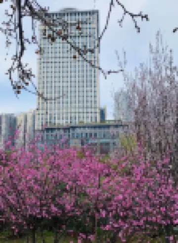 大河錦悅酒店（鄭州CBD會展中心店） 鄰近河南藝術中心的酒店