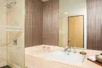 갈레리아 플라자 레포르마