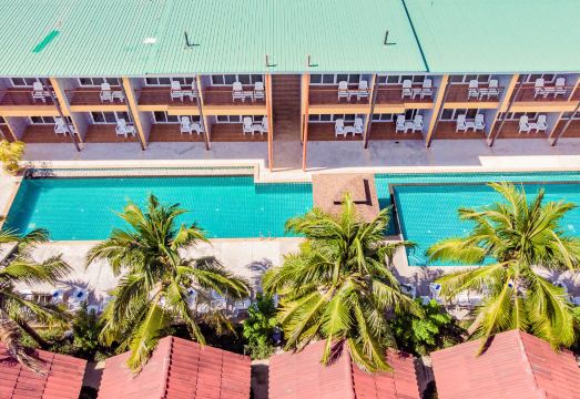 5. 피피 아니타 리..