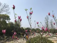 立達人飯店（省政府店） 湖南科技館附近的飯店