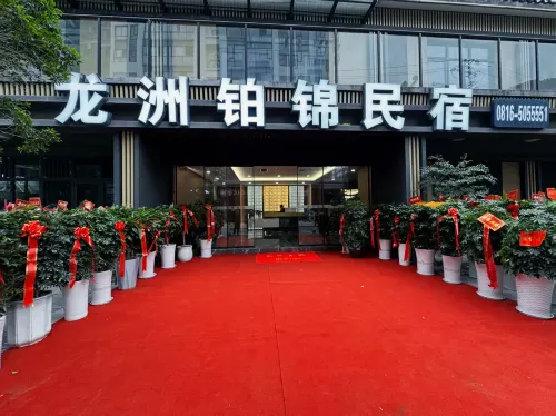 Pingwu Longzhou Bojin Homestay