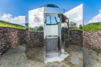 Padding Starry Sky Library Homestay